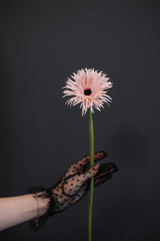 a person holding a pink flower in their hand, inspired by Robert Mapplethorpe, string puppet, pointè pose, head made of giant daisies, 165 cm tall