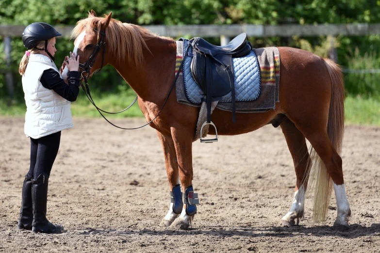 a woman standing next to a brown horse, unsplash, harnesses and garters, multi - coloured, thumbnail, rectangle