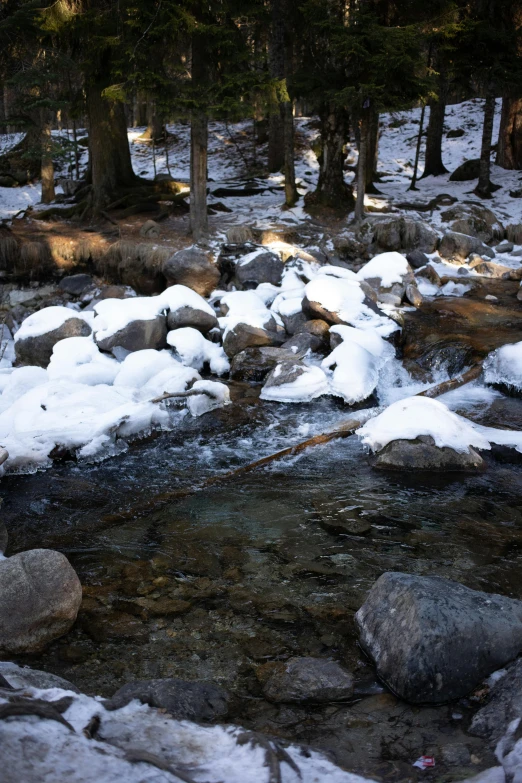 a stream running through a forest filled with snow, large stones, campsites, pochi iida, pools of water