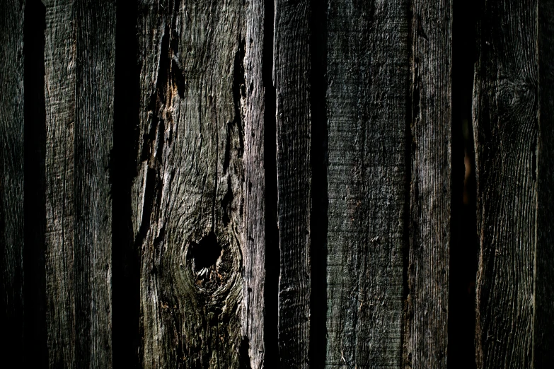 a fire hydrant sitting next to a wooden fence, an album cover, inspired by Elsa Bleda, renaissance, black lung detail, dark background texture, wood planks, high - resolution scan
