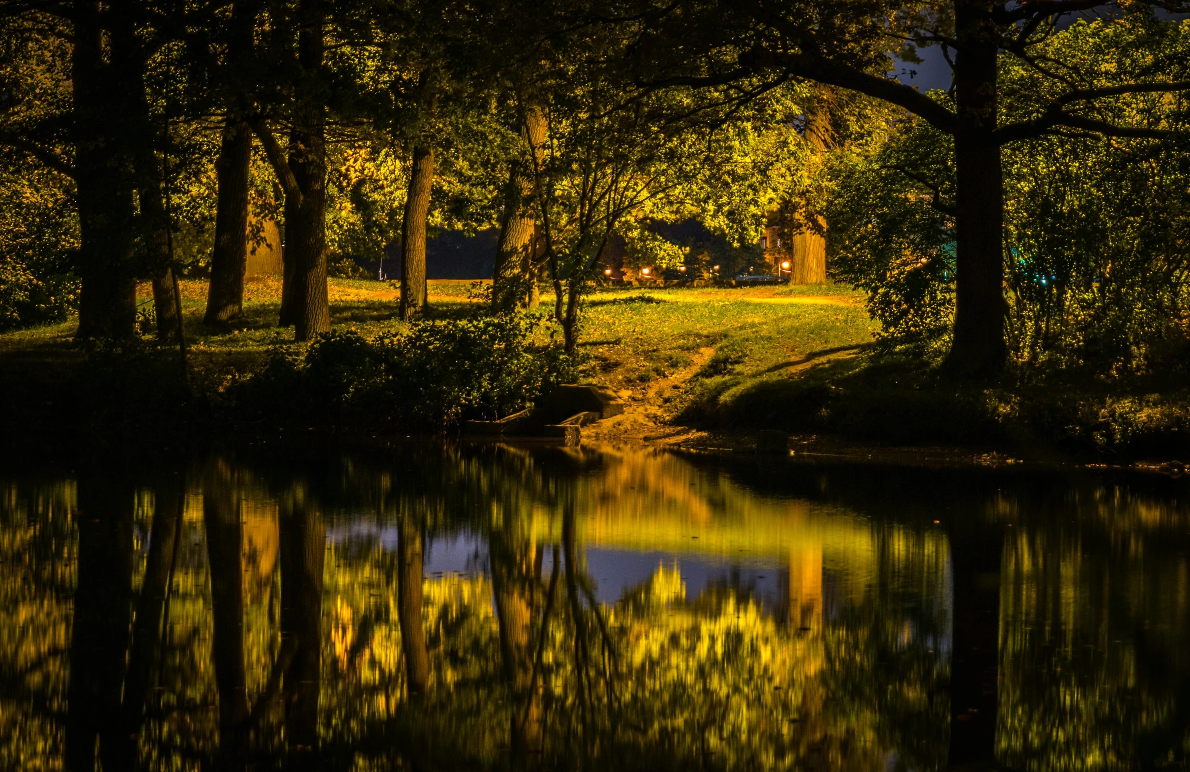 a body of water surrounded by trees at night, golden hour closeup photo, yellow artificial lighting, magic hour photography, a park