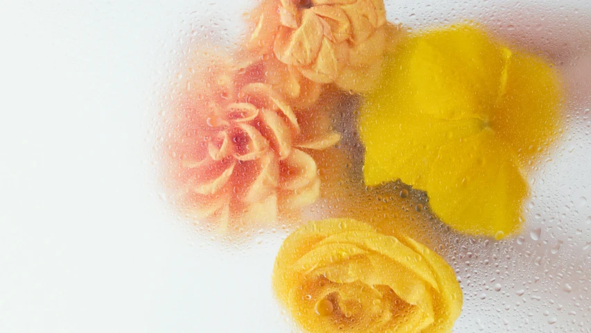 a bunch of yellow and pink flowers on a white surface, inspired by Anna Füssli, trending on unsplash, soap carving, whirlpool, felt, jelly - like texture