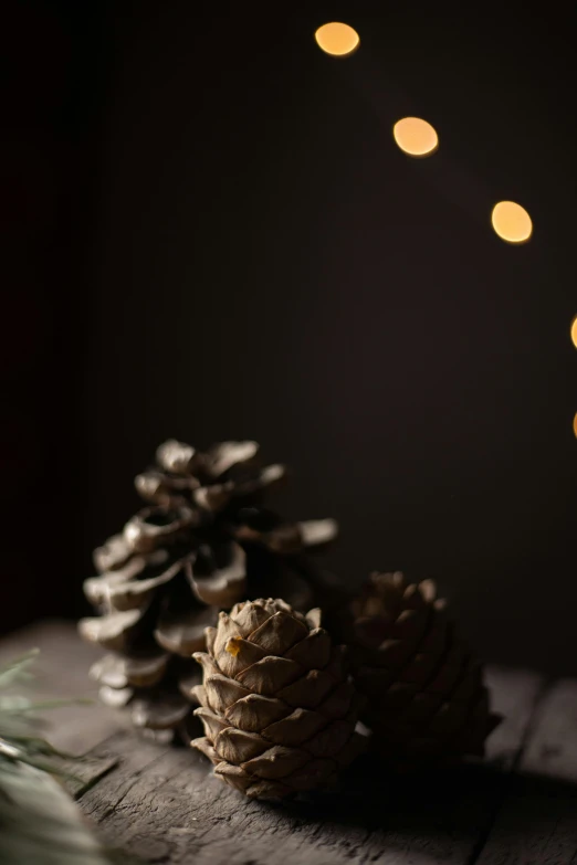 three pine cones sitting on top of a wooden table, a portrait, unsplash, firefly lights, medium format. soft light, light show, indoor picture