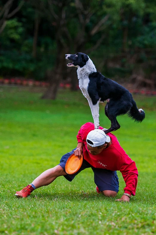 a man is playing frisbee with a dog, inspired by Graham Forsythe, pexels contest winner, happening, an ahoge stands up on her head, australia, ninja warrior, multi - layer