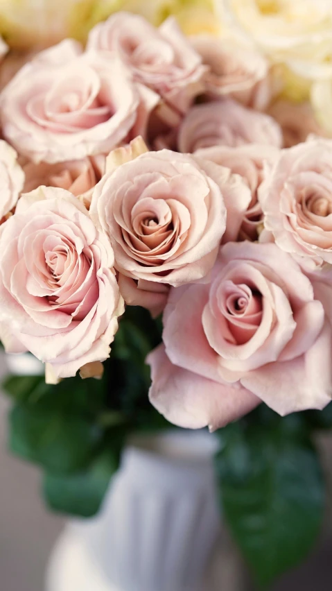 a bouquet of pink roses in a white vase, inspired by Rose O’Neill, unsplash, highly detailded', zoomed in, soft colours, finely textured