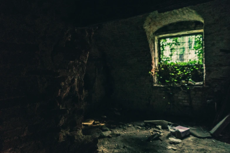 a room that has a window in it, inspired by Elsa Bleda, pexels contest winner, post apocalyptic ancient ruins, blair witch project, crypt, promo image