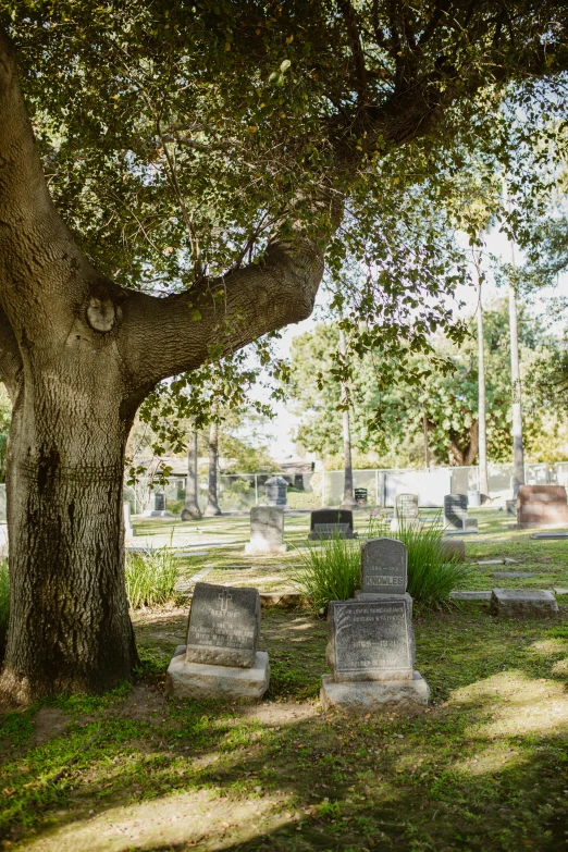 a group of tombstones under a tree in a cemetery, mission arts environment, superwide shot, 2019 trending photo, high angle shot