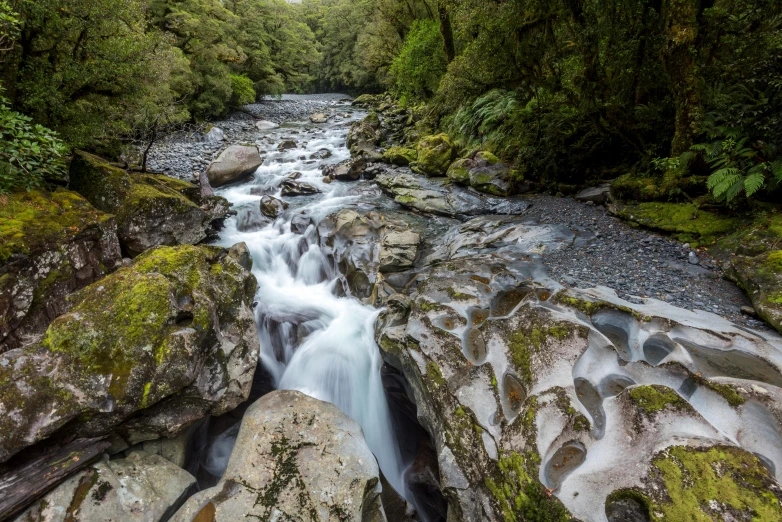 a river running through a lush green forest, by Peter Churcher, hurufiyya, rock pools, thumbnail, grey