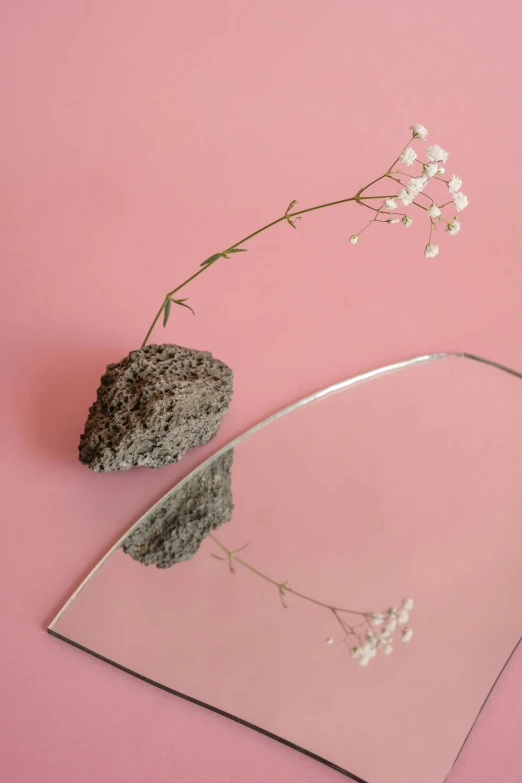 a mirror sitting on top of a pink surface, by Anna Boch, concrete art, botanicals, lava rock, clear curvy details, full product shot
