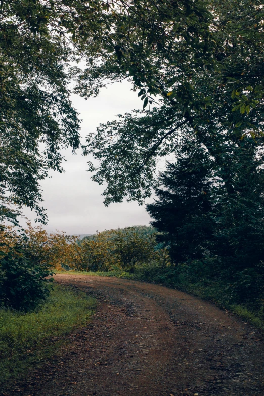 a dirt road surrounded by trees on a cloudy day, an album cover, inspired by Elsa Bleda, unsplash, renaissance, 2 5 6 x 2 5 6 pixels, panoramic shot, late summer evening, shot on sony a 7