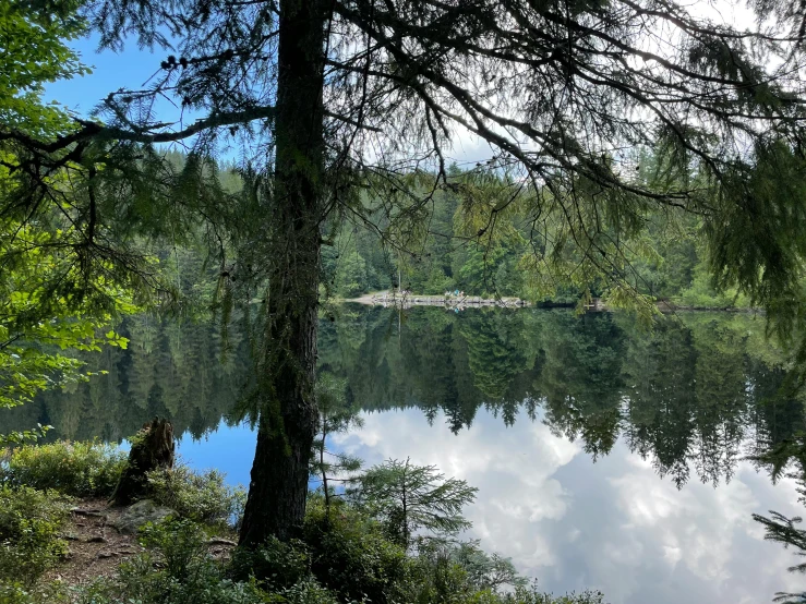 a large body of water surrounded by trees, by Jessie Algie, campsites, whistler, bright nordic forest, seen from outside