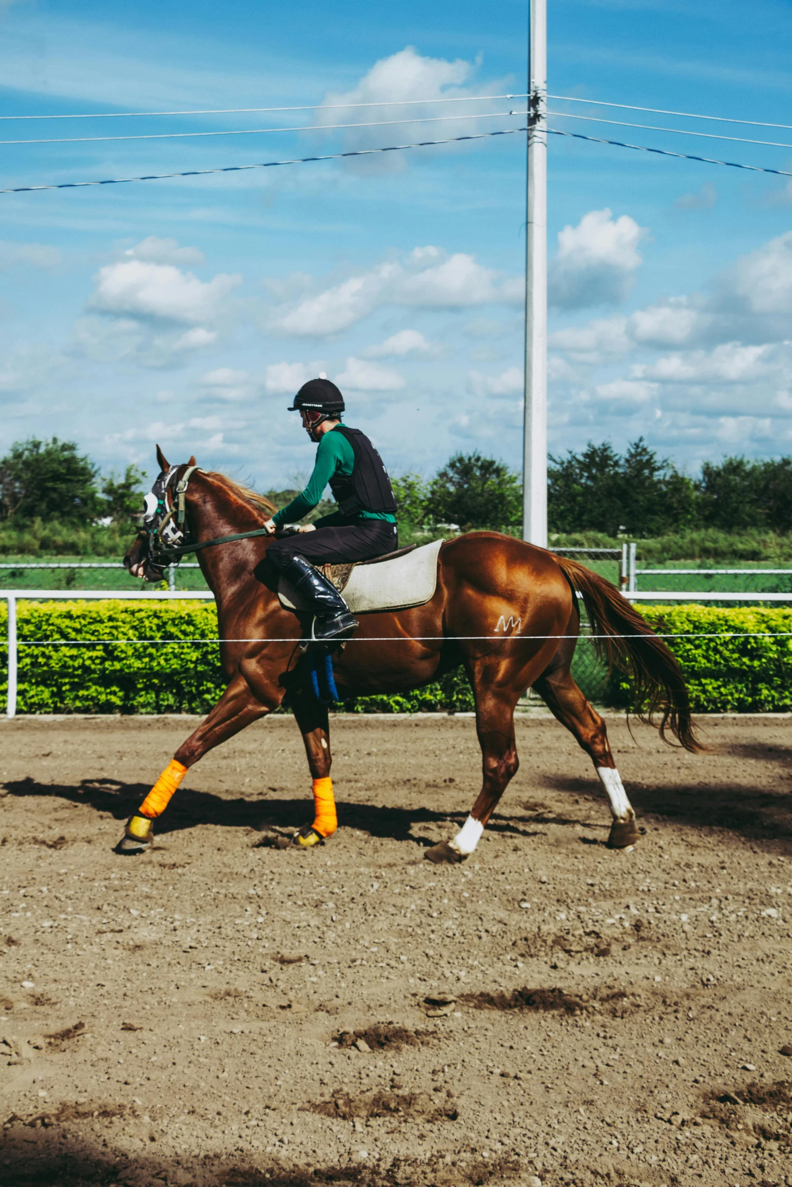 a man riding on the back of a brown horse, pexels contest winner, at racer track, standing sideways, colombian, profile image