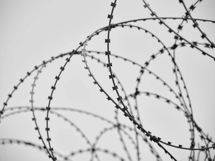 a black and white photo of a barbed wire fence, by Matija Jama, pixabay, conceptual art, thorn crown, detention centre, fine art print, detail structure