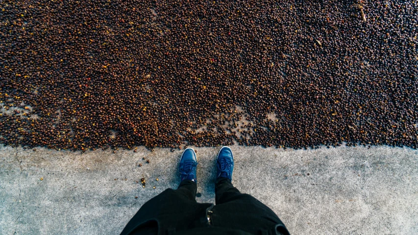 a person standing in front of a pile of coffee beans, by Julia Pishtar, wide-perspective, sneaker photo, drone shot, “berries