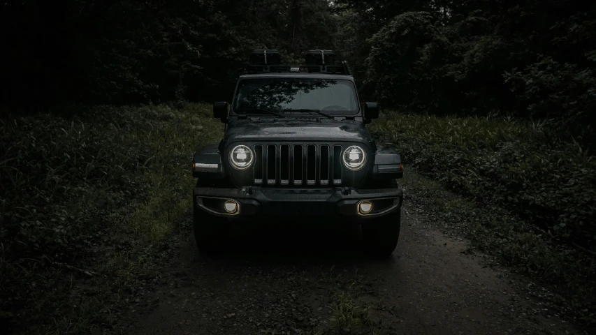 a jeep parked on a dirt road in the woods, by Adam Marczyński, pexels contest winner, renaissance, front lighting, profile image, facing front, detailing