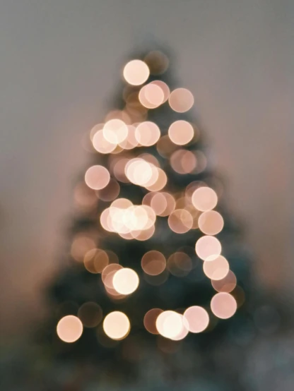 a blurry photo of a christmas tree, by Carey Morris, pexels, minimalism, light stubble, where a large, lofi, transparent background