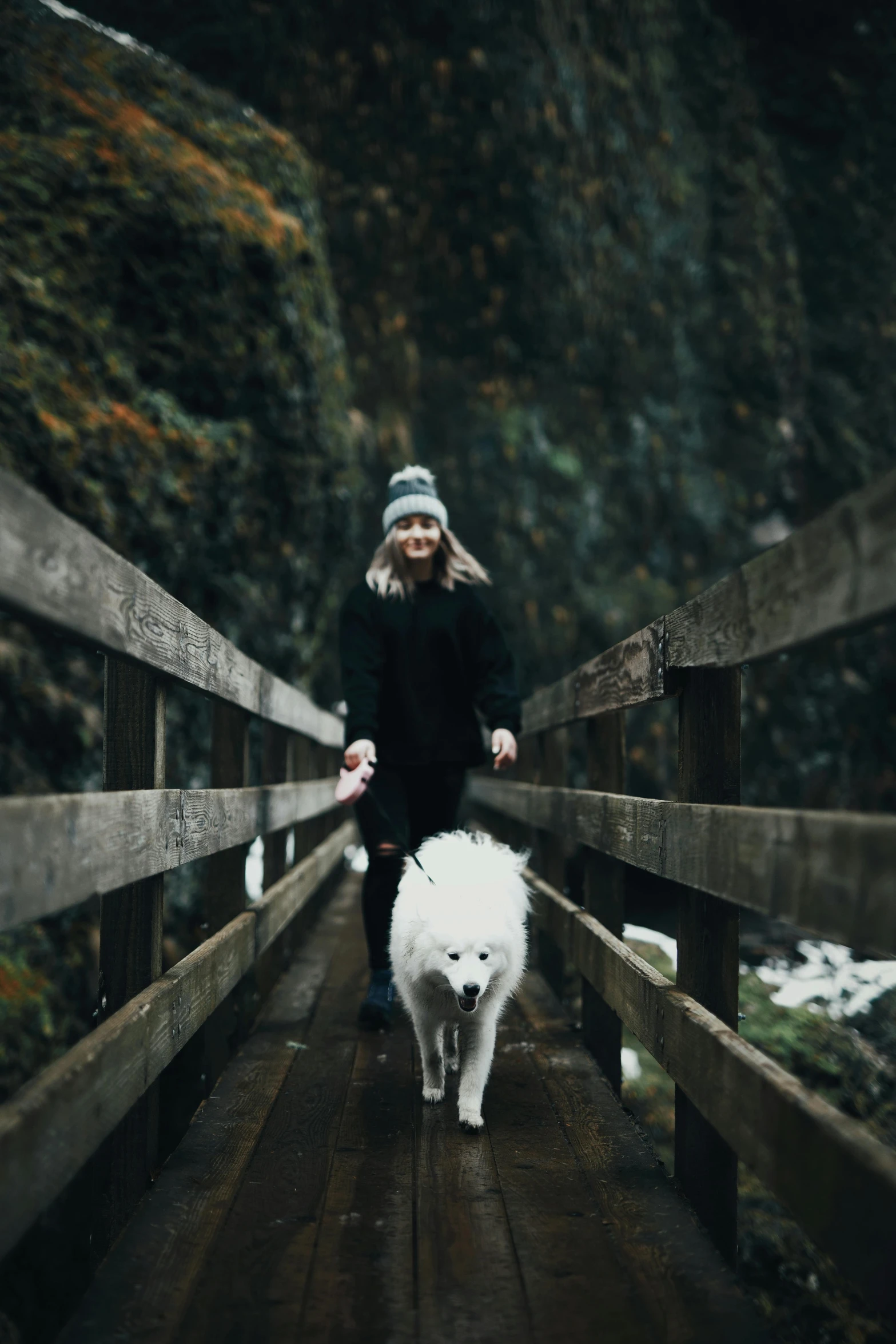 a woman walking a dog across a wooden bridge, pexels contest winner, renaissance, a white wolf, pacific northwest, handsome girl, nordic