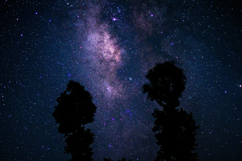 a night sky filled with lots of stars, unsplash contest winner, light and space, tawa trees, medium closeup, instagram post, the milk way