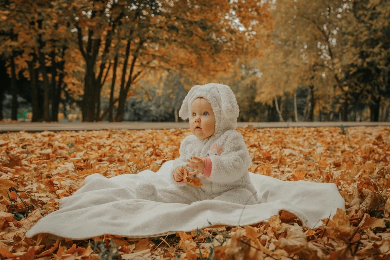 a baby sitting on a blanket in the leaves, by Emma Andijewska, pexels contest winner, girl wearing hoodie, angelina stroganova, square, elegantly dressed