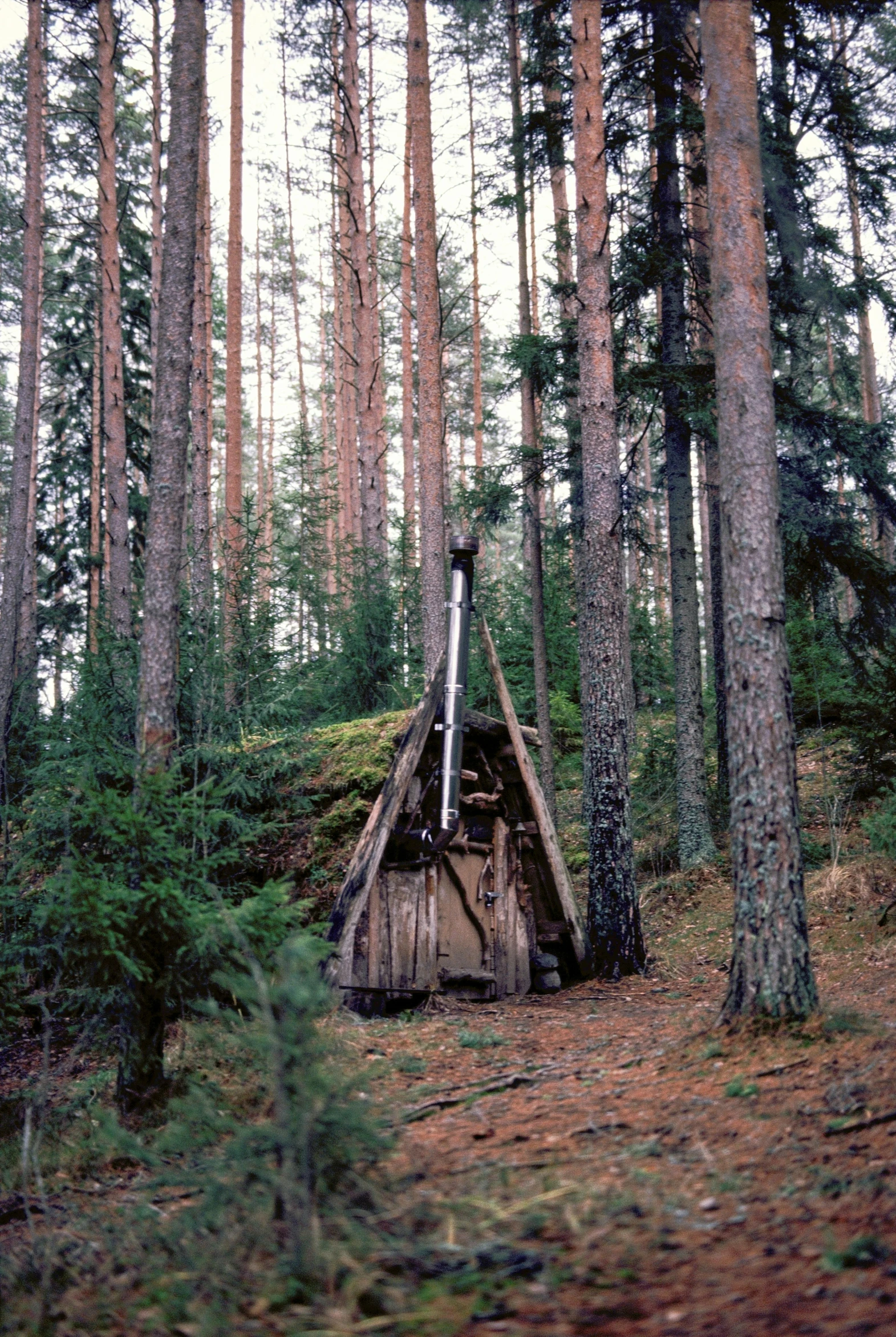a small hut in the middle of a forest, by Marina Abramović, with axe, kalevala, ((forest)), dunce