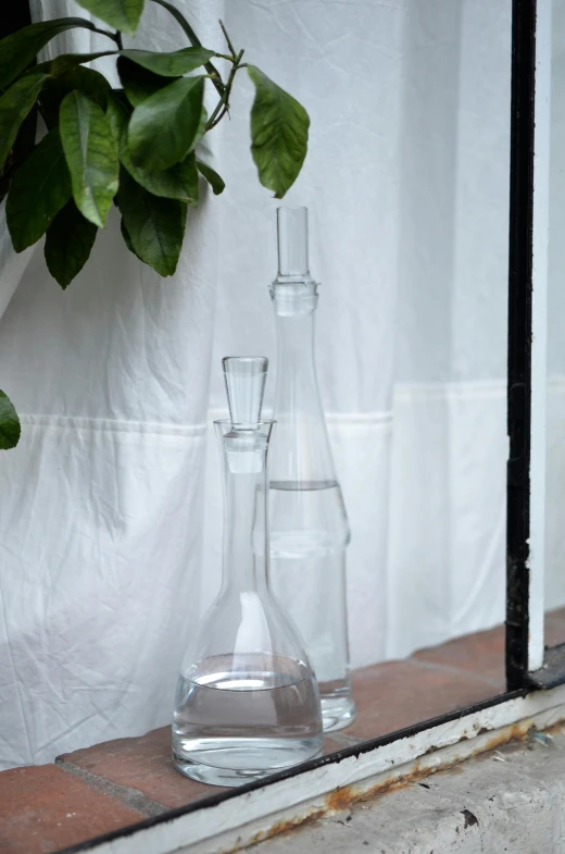 a couple of glass vases sitting on top of a window sill, a still life, inspired by Diego Giacometti, unsplash, made of lab tissue, water pipe, medium closeup, glass greenhouse