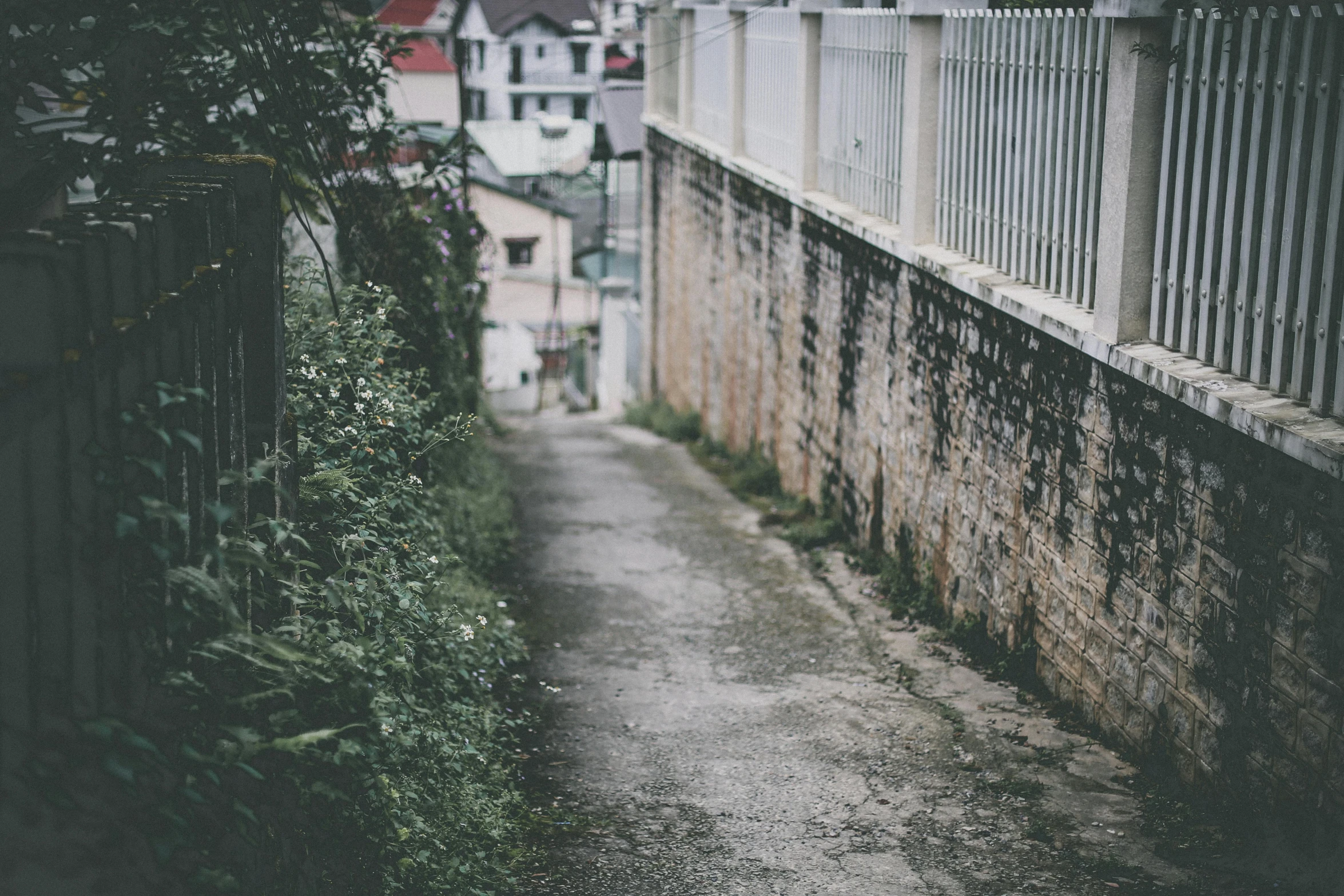 a red fire hydrant sitting on the side of a road, a picture, inspired by Elsa Bleda, unsplash contest winner, empty buildings with vegetation, built on a steep hill, tiny wires on the ground. narrow, green alley