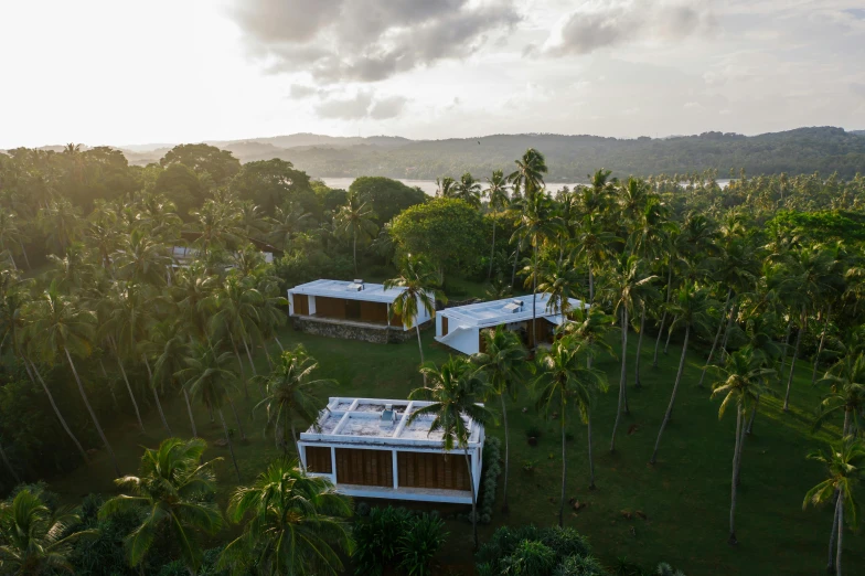 a couple of houses sitting on top of a lush green field, hurufiyya, palm trees outside the windows, sol retreat, aerial, iconic design