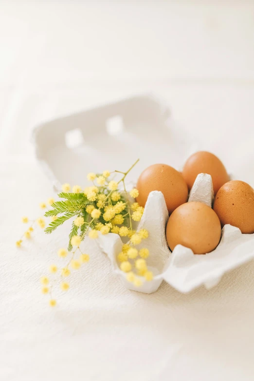 a carton filled with eggs sitting on top of a table, a still life, by Ellen Gallagher, unsplash, edible flowers, australian, crisp smooth lines, 🐿🍸🍋