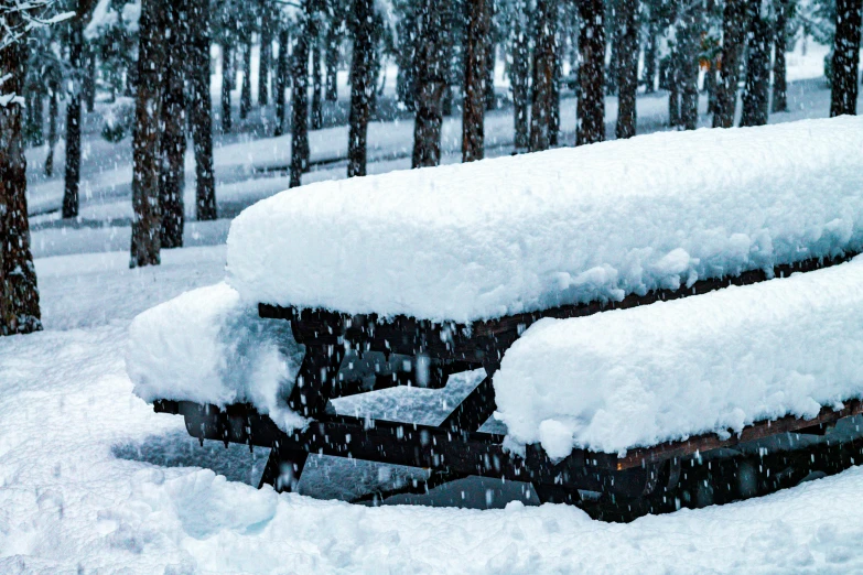 a picnic table covered in snow in a park, by Joe Bowler, unsplash, “ iron bark, arrendajo in avila pinewood, promo image, thrown tables