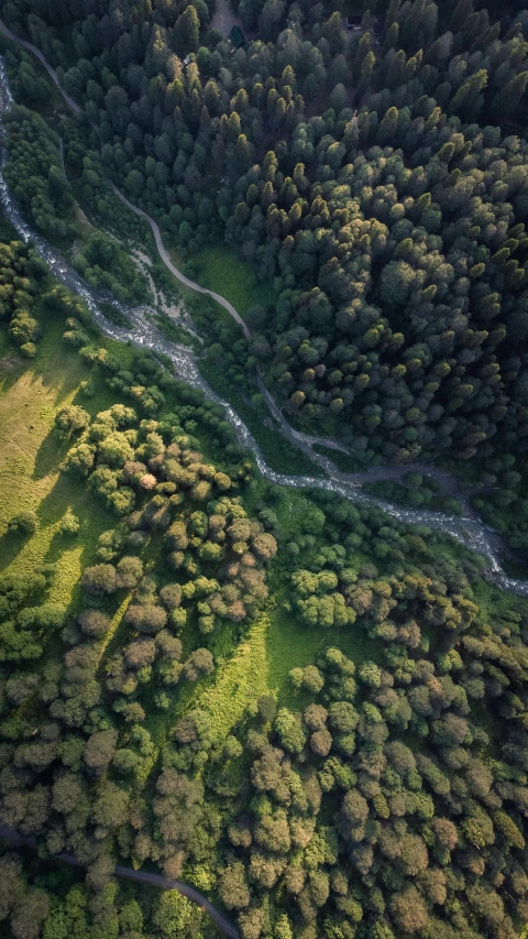 a river running through a lush green forest, an album cover, by Adam Marczyński, unsplash contest winner, birds - eye view, istock, alexey gurylev, summer evening