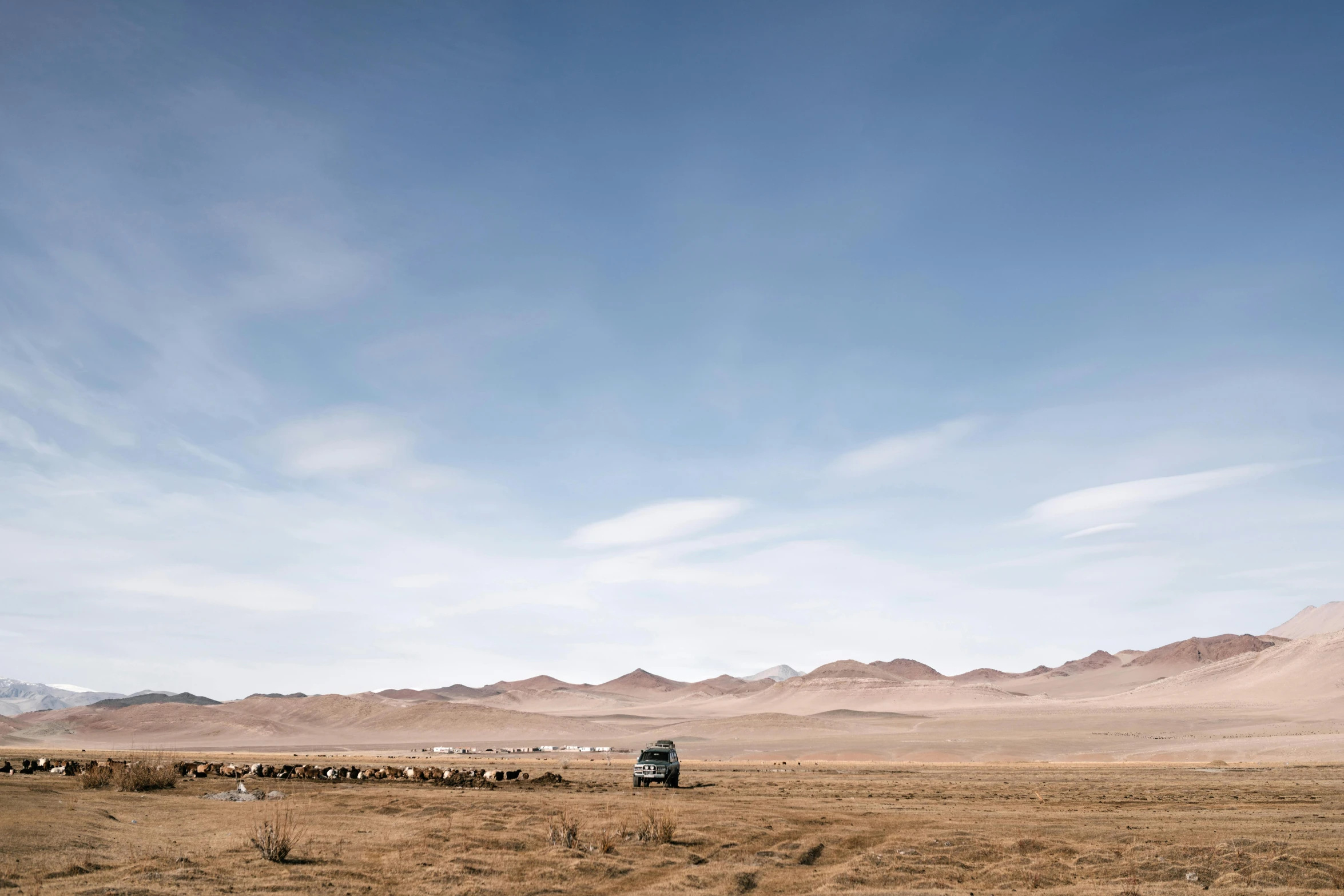 a herd of sheep standing on top of a dry grass covered field, unsplash contest winner, land art, vw microbus driving, genghis khan, sparse mountains on the horizon, background image