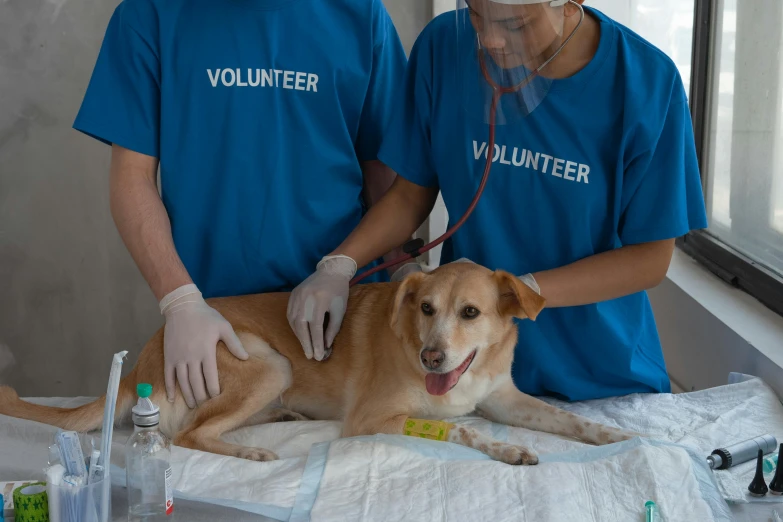 a couple of people standing next to a dog, holding a syringe, on a canva, healthcare worker, wildlife preservation