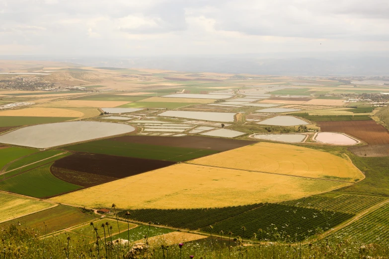 an aerial view of a field of crops, unsplash, les nabis, terraced orchards and ponds, israel, battlefield in background, high quality product image”