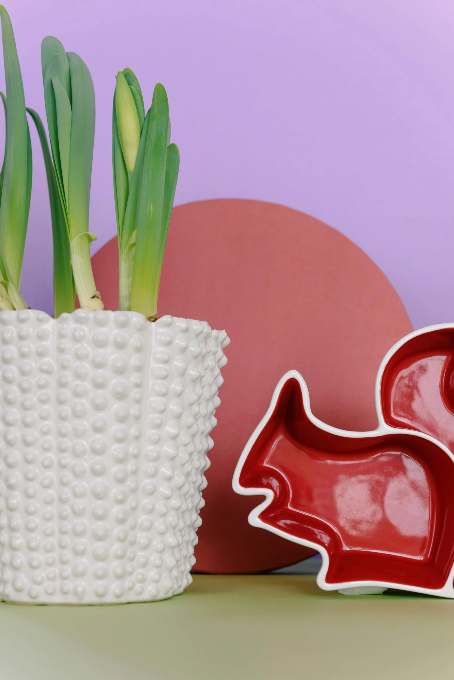 a white vase sitting on top of a table next to a plant, a still life, inspired by Hendrik Gerritsz Pot, pop art, soft red texture, chicken, hyacinth, close-up product photo