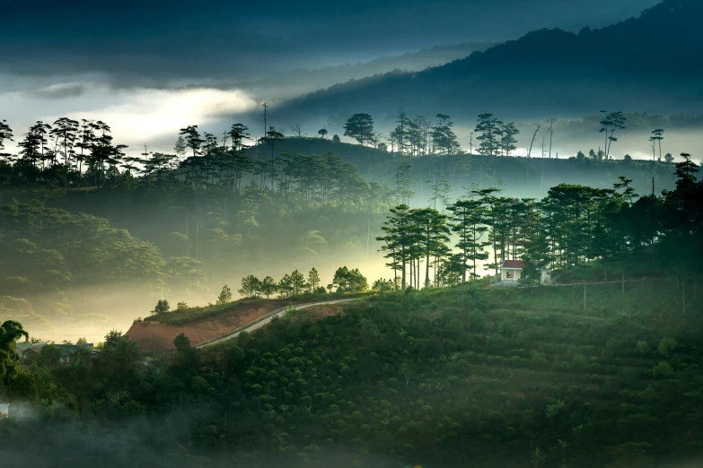 a mountain that has some trees on it, by Ibrahim Kodra, unsplash contest winner, sumatraism, korean countryside, pine trees, light mist, house on a hill