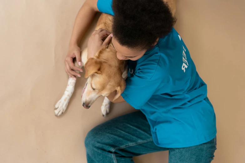 a man in a blue shirt petting a brown and white dog, pexels contest winner, she is laying on her back, cardboard, in a dark teal polo shirt, profile image