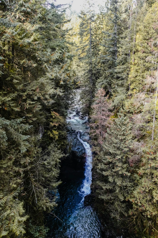 a river flowing through a lush green forest, by Daniel Seghers, pexels contest winner, hurufiyya, huge chasm, vancouver, wide high angle view, mid fall