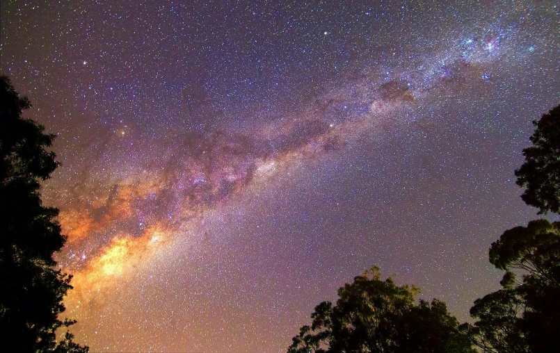 a night sky filled with lots of stars, pexels, space art, australian outback, arching milkyway, tree in a galaxy made of stars, half image