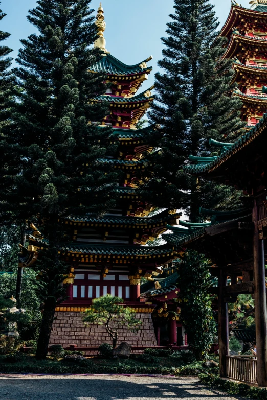 a large pagoda in the middle of a forest, inspired by Itō Jakuchū, trending on unsplash, zoomed in shots, china town, hyperdetailed!!, exotic trees