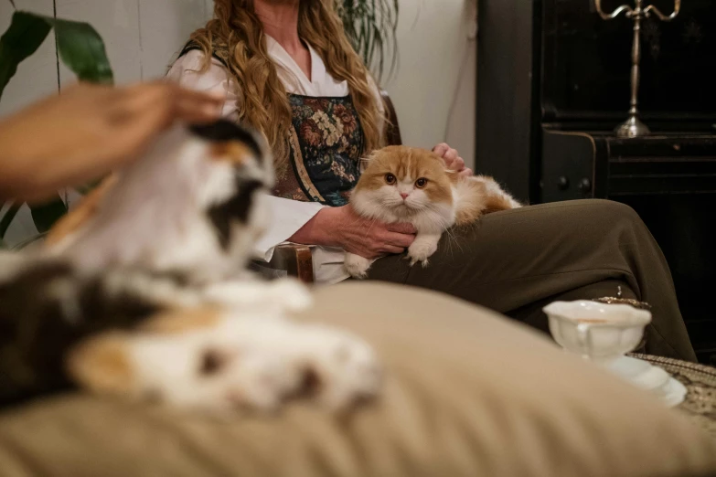 a woman sitting on a couch holding a cat, trending on unsplash, renaissance, three cats drinking in a bar, cottagecore hippie, medium close-up shot, low - angle shot