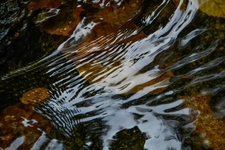 the water is flowing over the rocks in the stream, an album cover, by Jan Rustem, unsplash, lyrical abstraction, fish scales, ignant, brown, reflections and refraction