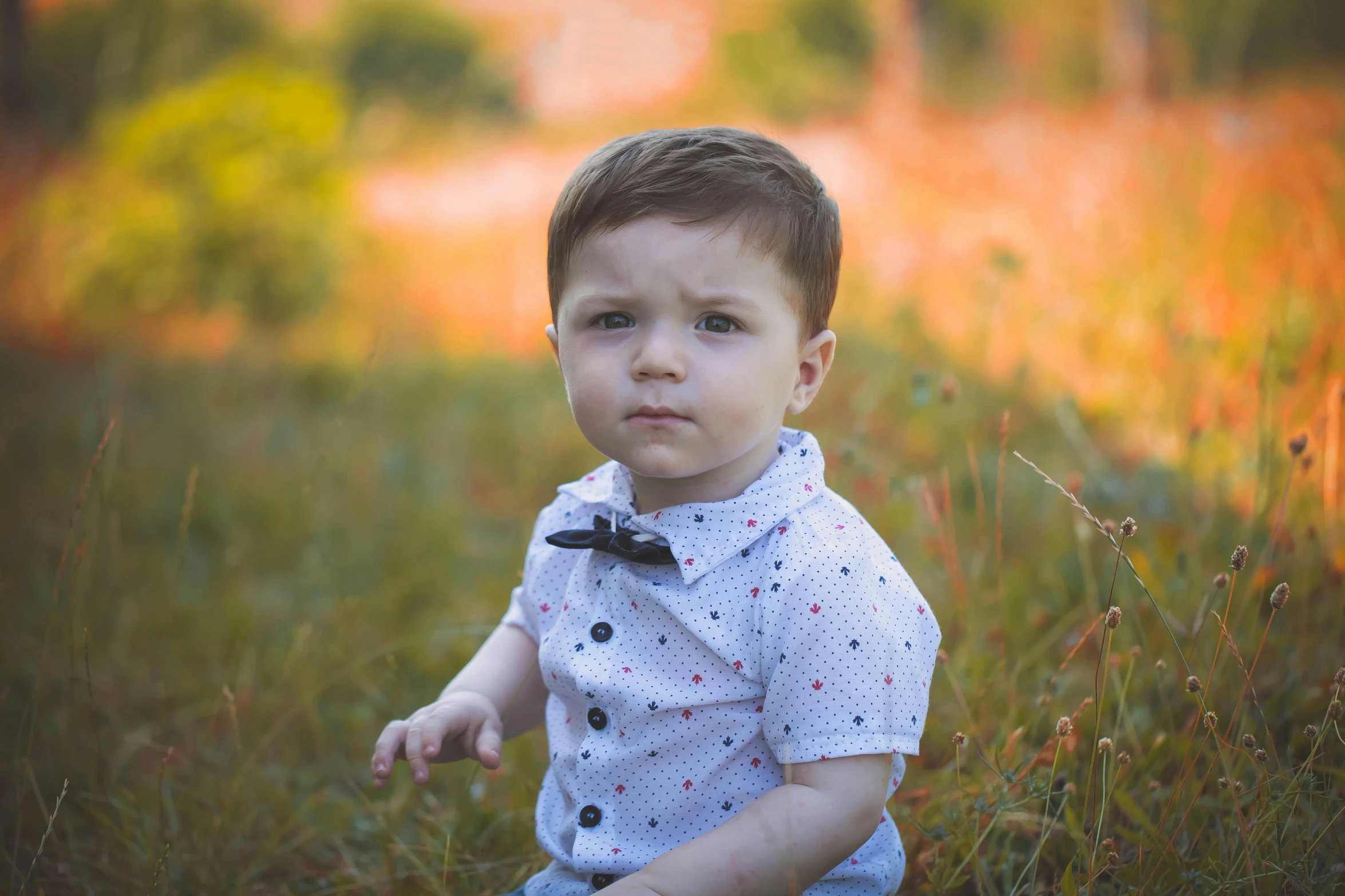 a little boy that is sitting in the grass, a portrait, pixabay contest winner, serious and stern expression, 15081959 21121991 01012000 4k, 🍁 cute, portrait of a handsome