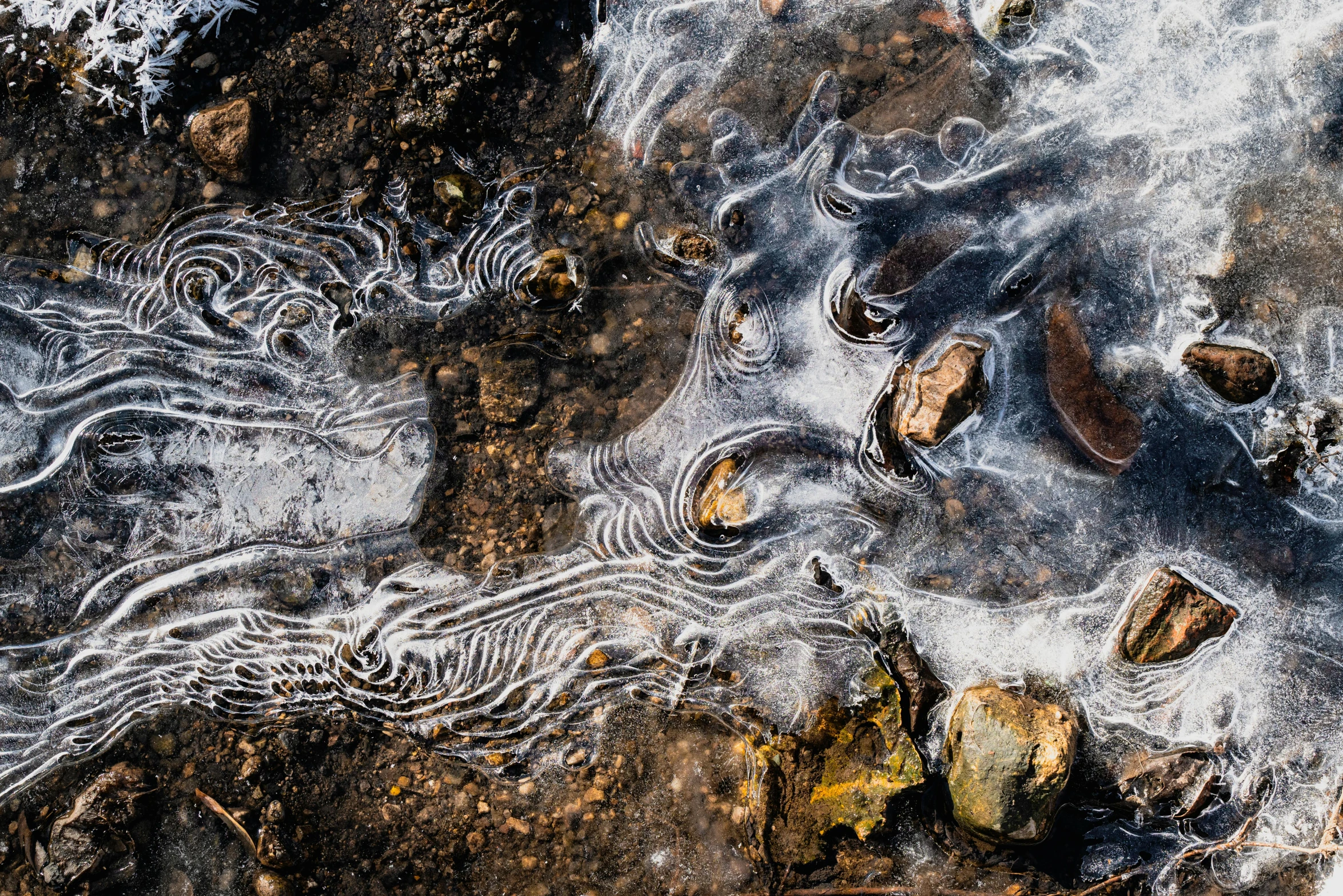 a body of water covered in ice next to rocks, a microscopic photo, unsplash contest winner, land art, swirling silver fish, leading lines, swirles, ash thorp