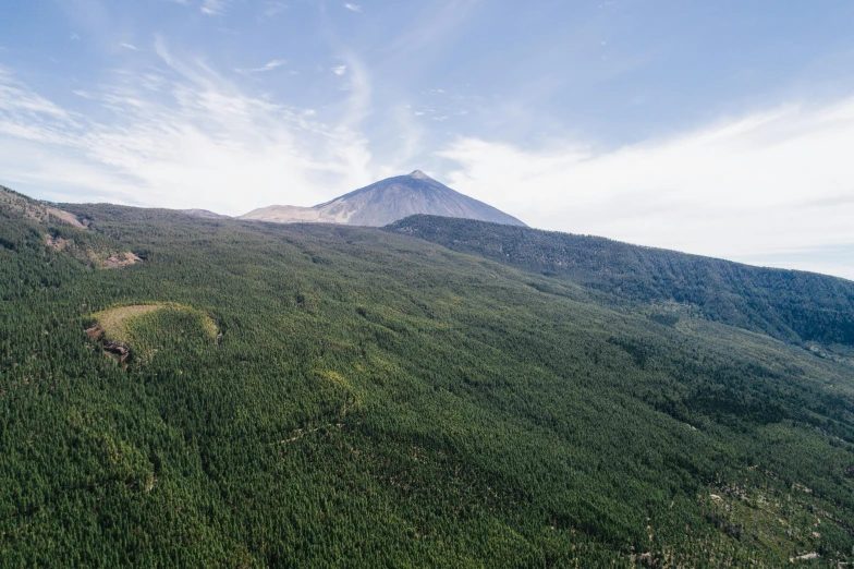 an aerial view of a forested area with a mountain in the background, a picture, by Alejandro Obregón, hurufiyya, volcanic, extremely clear and coherent, high quality product image”