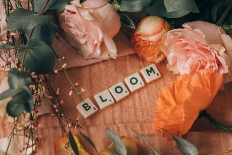 a bunch of flowers sitting on top of a wooden table, inspired by Hyman Bloom, trending on unsplash, cubes on table, lettering, bbloom, peach embellishment