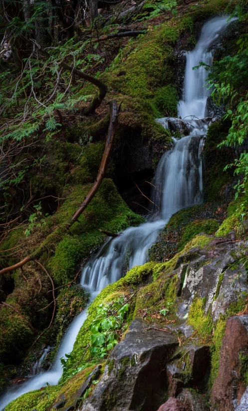 a waterfall flowing through a lush green forest, by Jim Nelson, near the black cauldron, beautifully lit