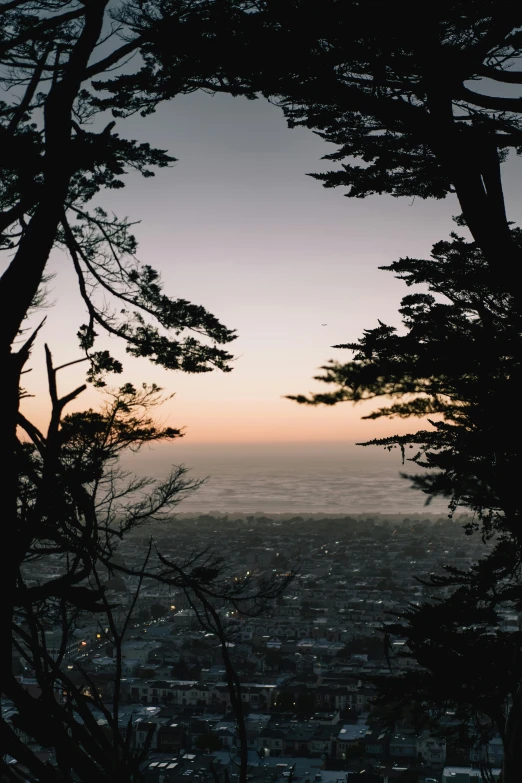 a view of a city through some trees, a picture, unsplash, cliff side at dusk, low quality photo, san francisco, fading off to the horizon