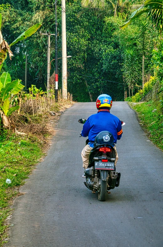 a man riding on the back of a motorcycle down a road, sumatraism, blue, lush surroundings, ready to strike, rear facing