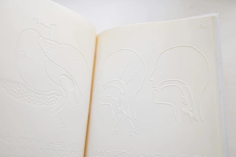 a close up of an open book with drawings on it, by Carey Morris, featured on behance, ascii art, embossed paint, soft white rubber, facial features, biological illustrations