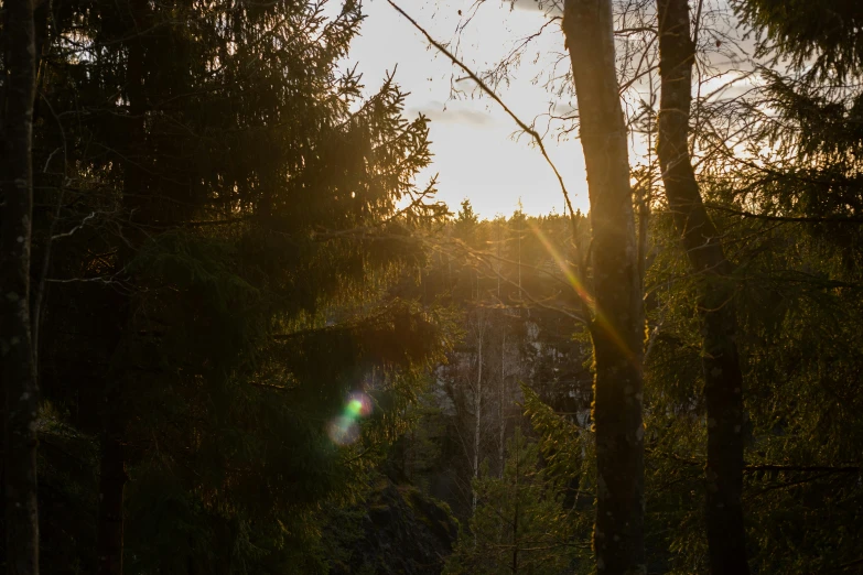 a bench sitting in the middle of a forest, by Harry Haenigsen, pexels contest winner, sunset backlight, huge chasm, espoo, detailed trees and cliffs